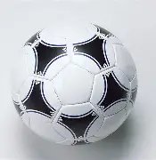 飞鱼科技,港股飙升,上半年税后,乐鱼体育平台,乐鱼体育官方网站,乐鱼体育登录入口,乐鱼体育app下载