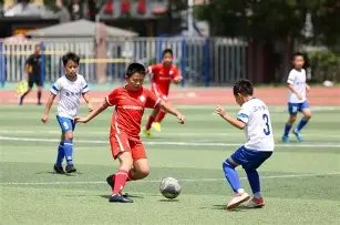 乐鱼体育,资讯,乐鱼体育平台,乐鱼体育平台,乐鱼体育官方网站,乐鱼体育登录入口,乐鱼体育app下载