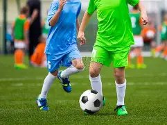 乐鱼体育,资讯,乐鱼体育平台,乐鱼体育平台,乐鱼体育官方网站,乐鱼体育登录入口,乐鱼体育app下载