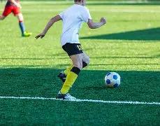 泰达公司黄,金储备达,市值近,乐鱼体育平台,乐鱼体育官方网站,乐鱼体育登录入口,乐鱼体育app下载