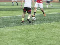 特雷,杨重返赛场,老鹰队有望,乐鱼体育平台,乐鱼体育官方网站,乐鱼体育登录入口,乐鱼体育app下载