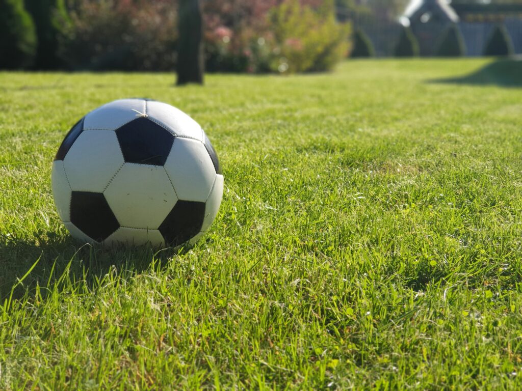 青岛西海岸,对决河南队,大乐透期号,乐鱼体育平台,乐鱼体育官方网站,乐鱼体育登录入口,乐鱼体育app下载