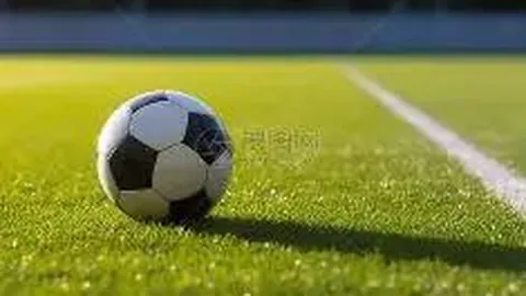 乐鱼体育 资讯 093849 vrs