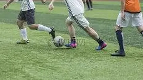 乐鱼体育 资讯 084441 td4